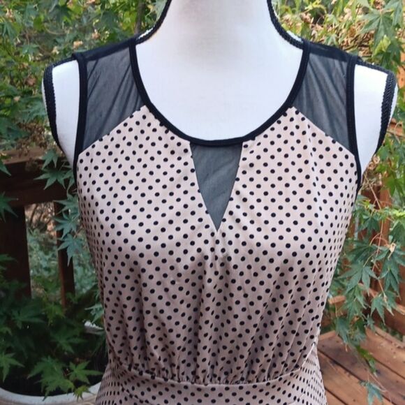 NWT Enfocus Studio Black and Tan Dress - Picture 2 of 12